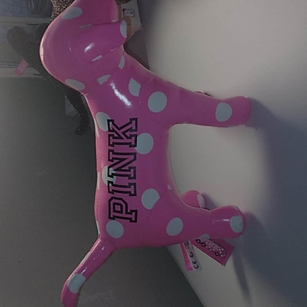 Pink Bus Dog
